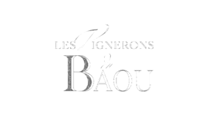 LOGO-VIGNERONS-DU-BAOU.png